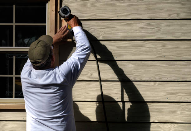 Best Brick Veneer Siding  in Fountain, CO